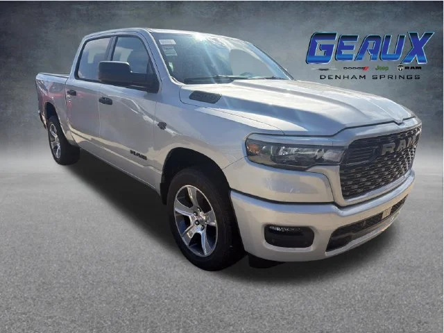 New 2027 Silver Zynith Exterior Paint RAM Express image 1