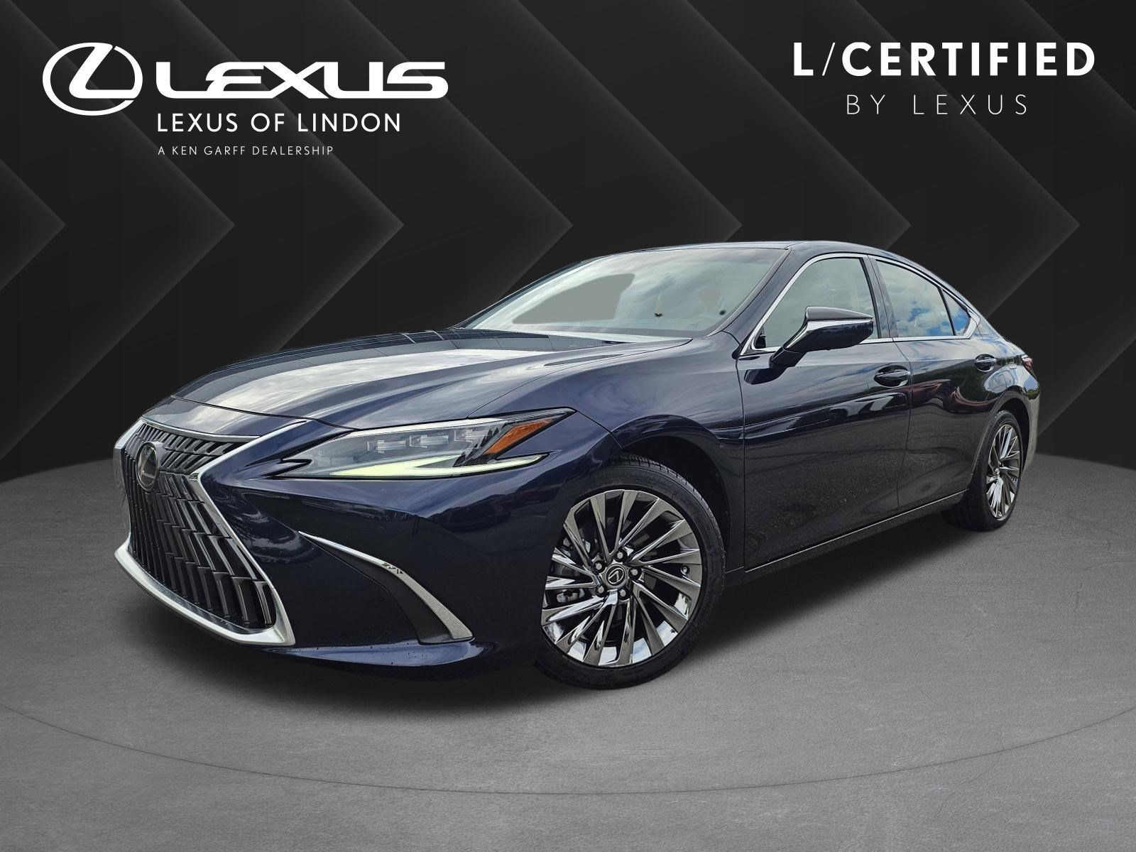 2025 Lexus ES 300h 300h Luxury's photo