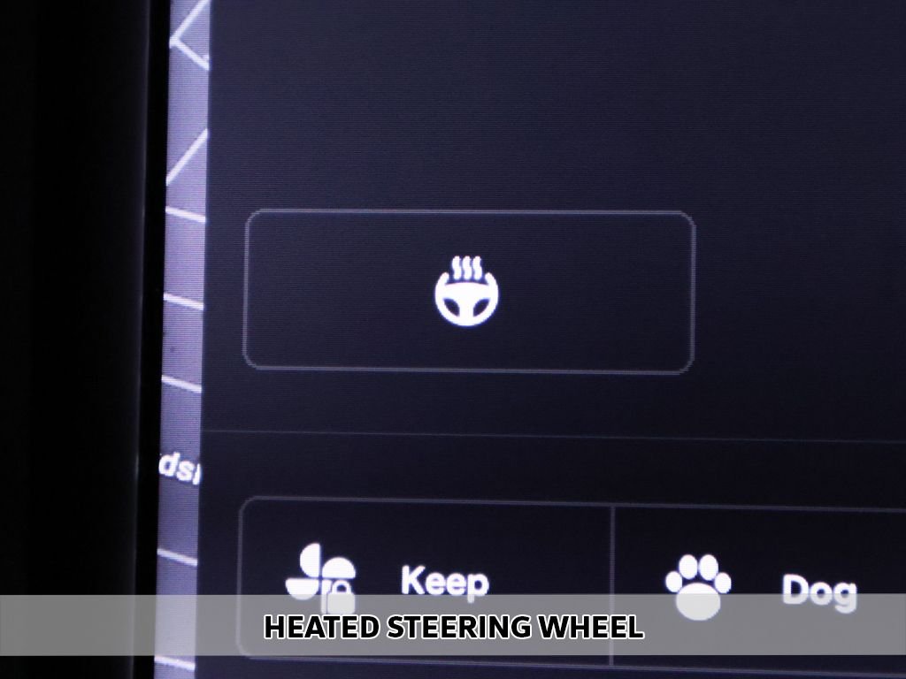 Used 2020 White Tesla Long Range image 9