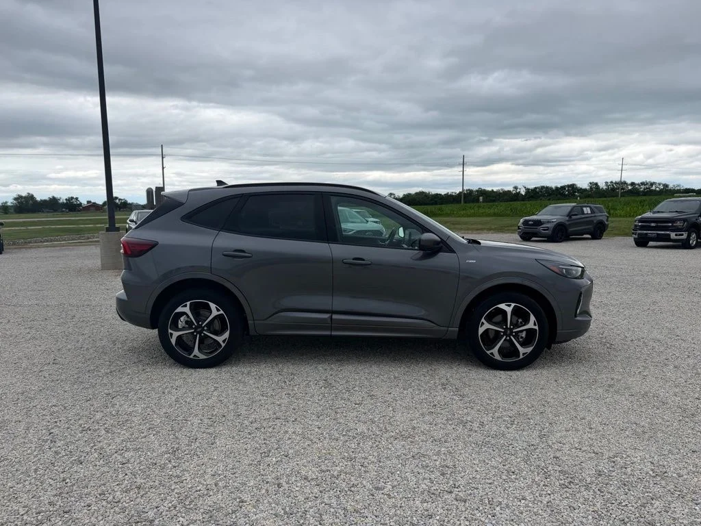 Used 2023 Gray Ford ST-Line Elite image 3