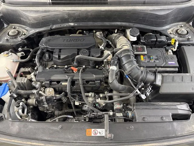 Used 2024 Black Kia SX image 19
