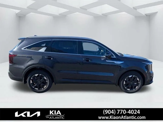New 2025 Panthera Metal Kia S image 2