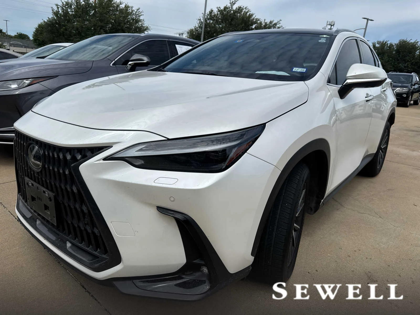 2024 Lexus NX 350 350 Luxury AWD's photo