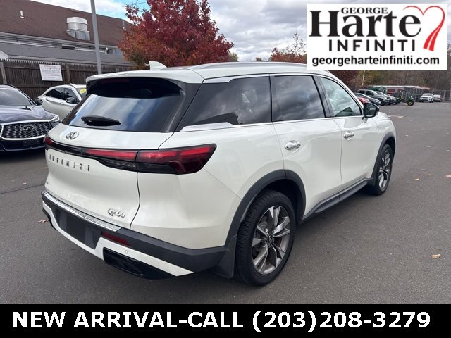 2023 Infiniti QX60 Luxe photo 3