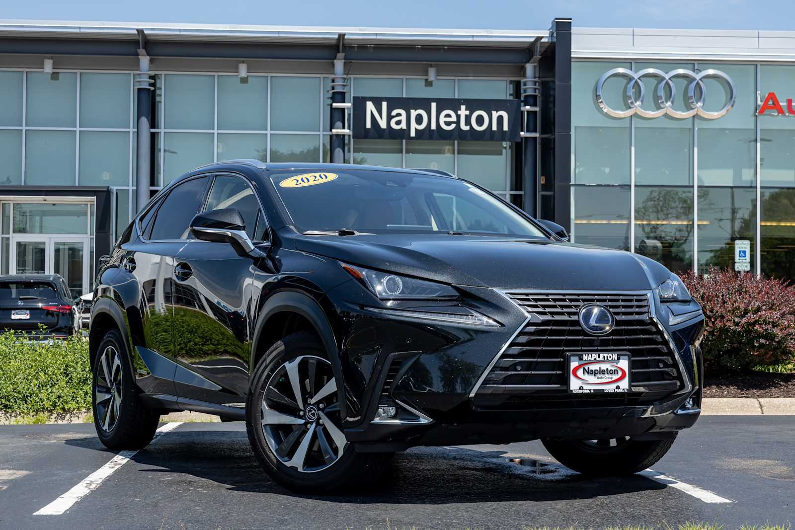 2020 Lexus NX 300h 