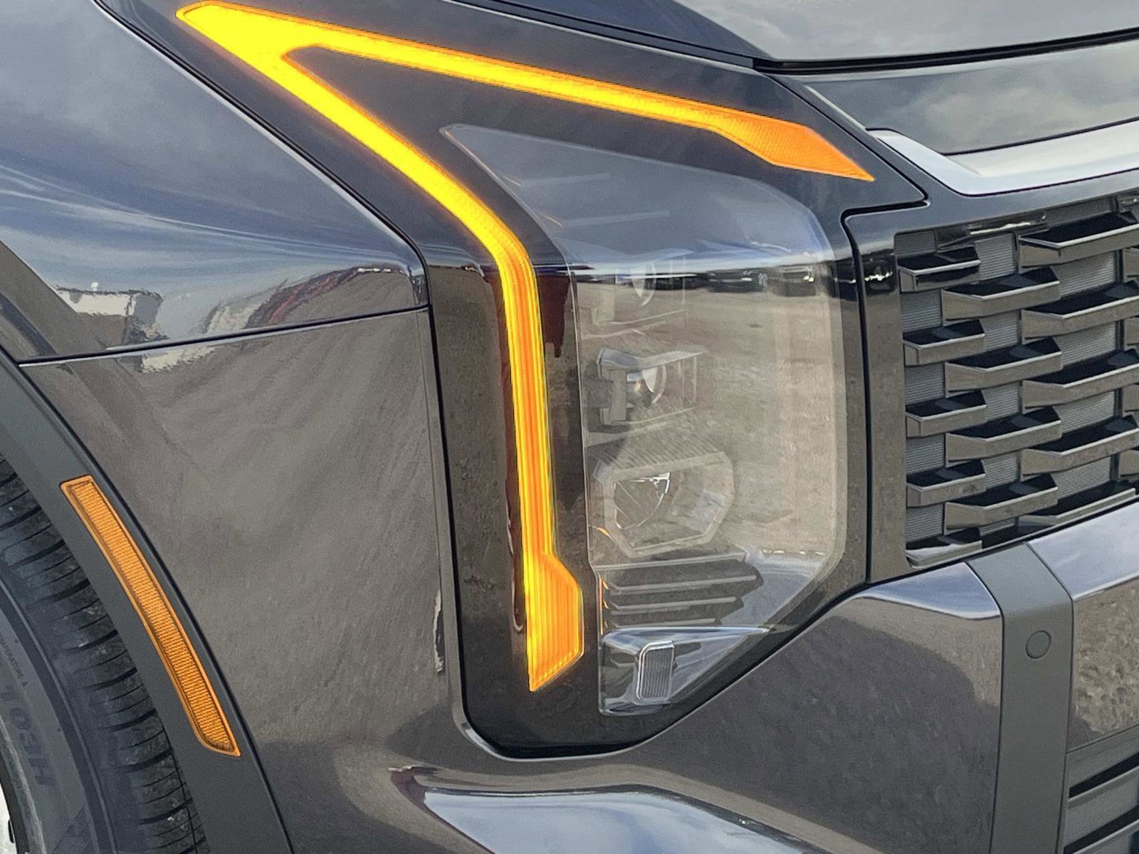 New 2026 Panthera Metal Kia EX image 9