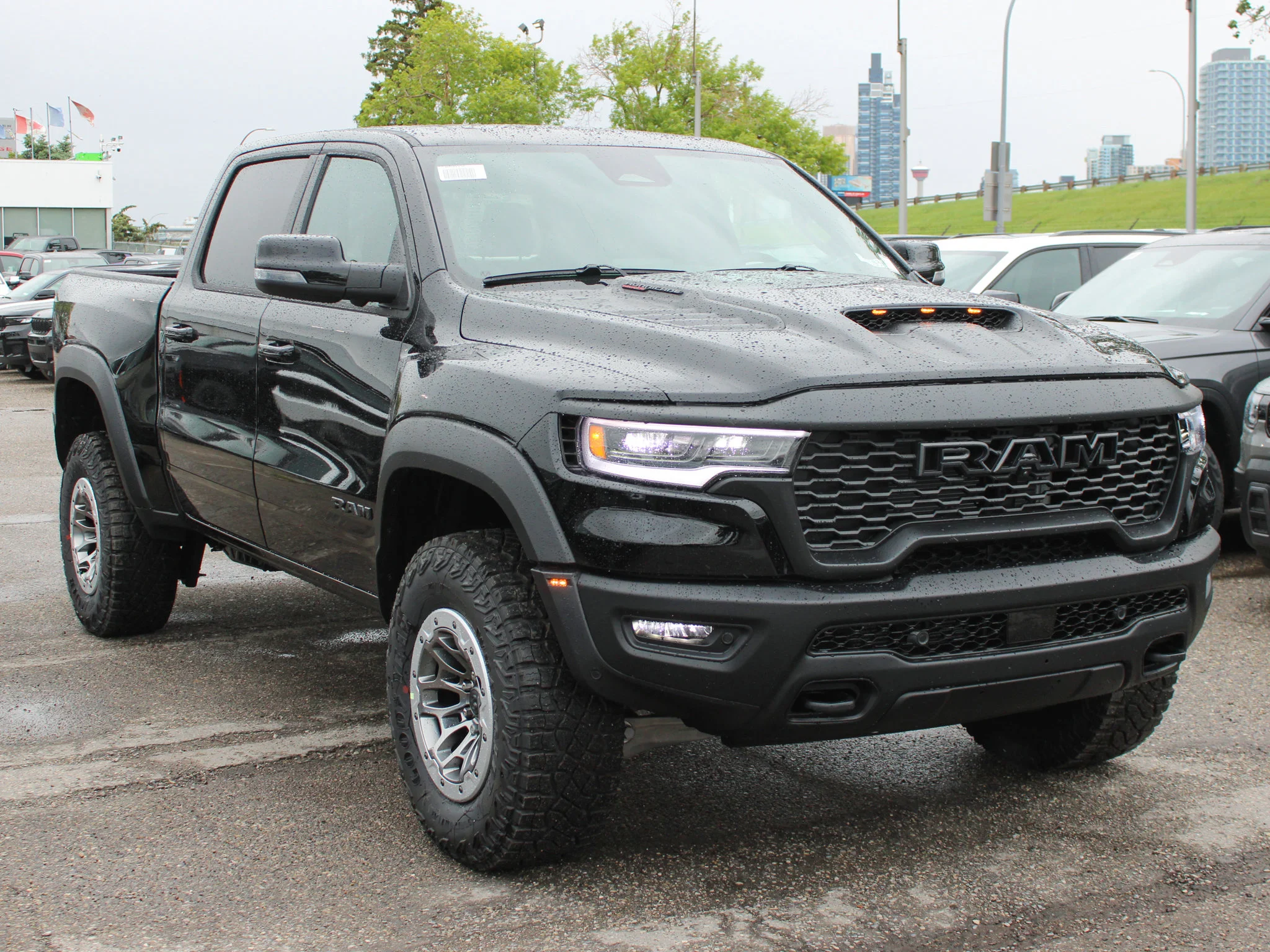 New 2026 Black RAM RHO* image 8
