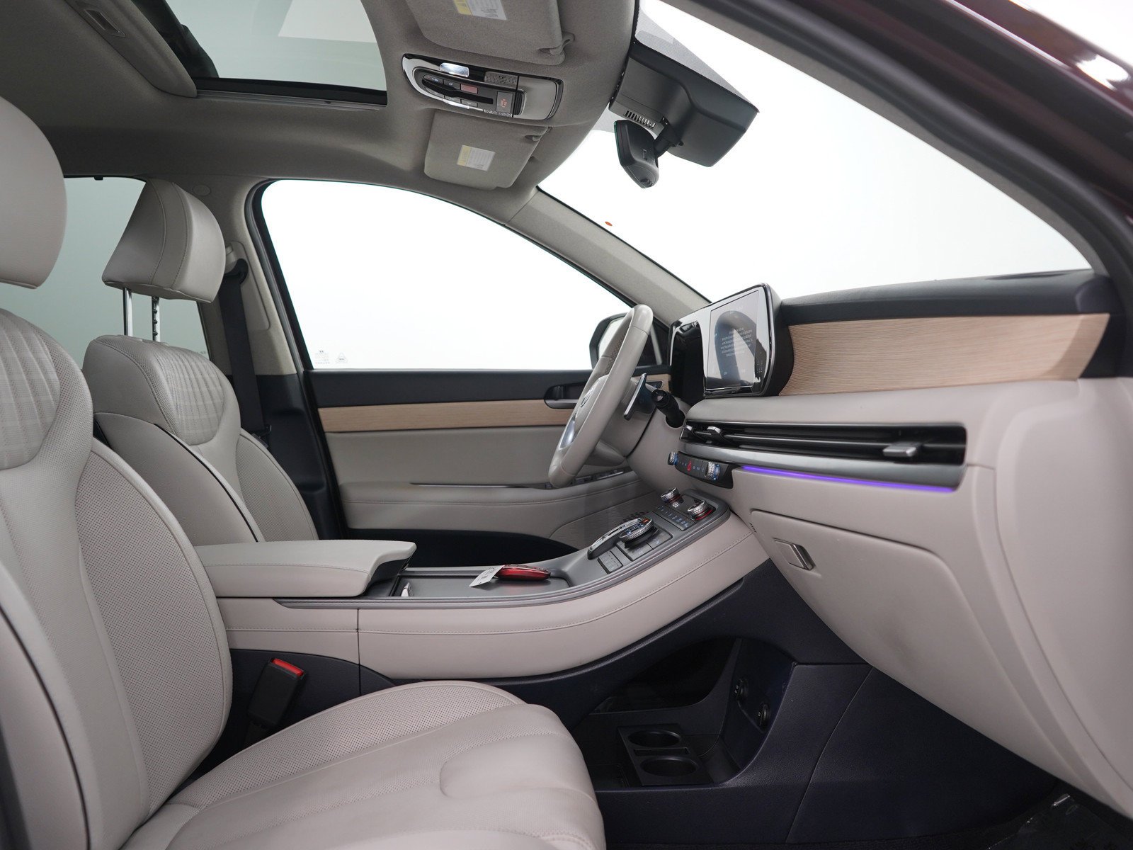 2024 Hyundai Palisade Limited - Photo 12