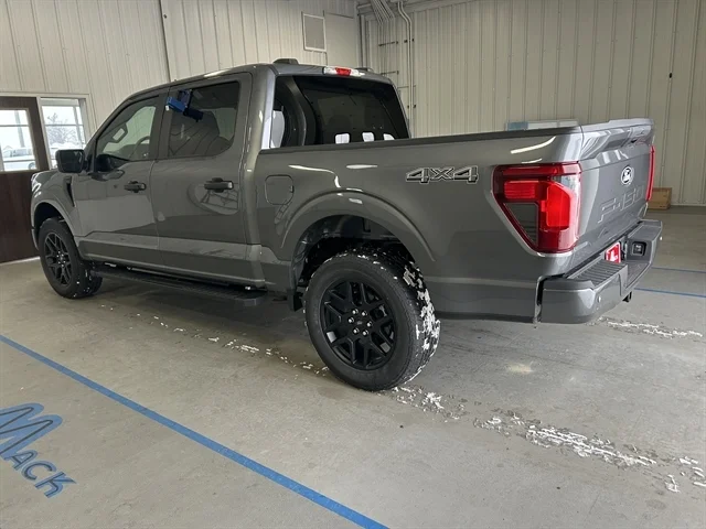 2025 Ford F-150 STX - Photo 8