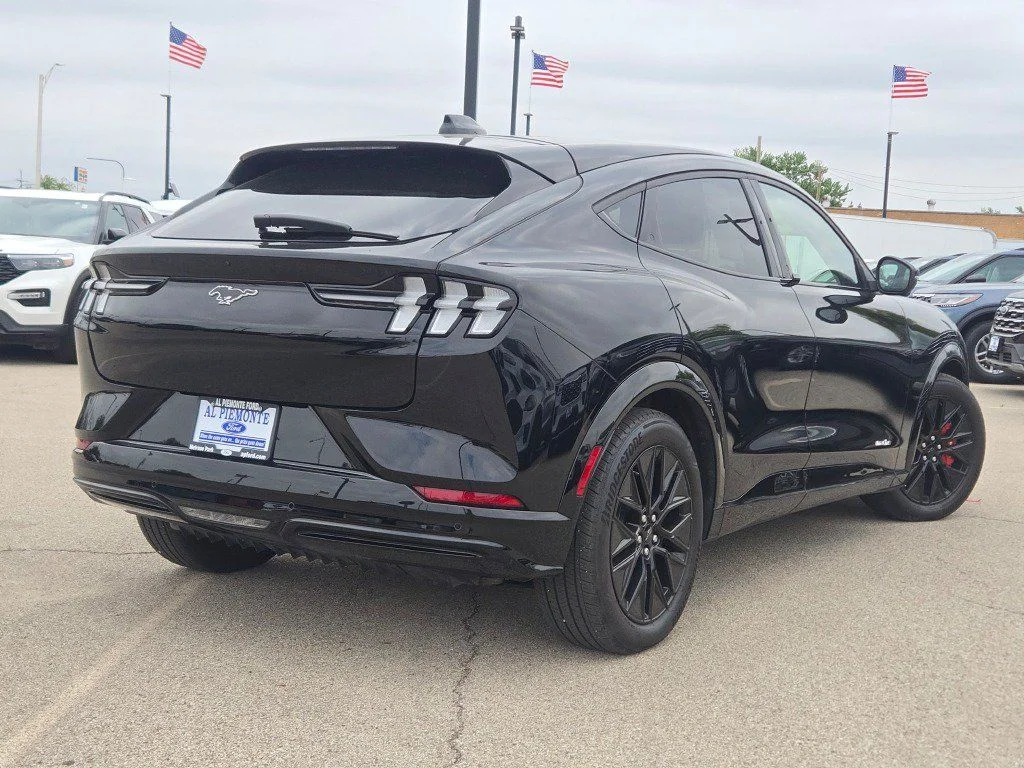 Used 2025 Shadow Black Ford Premium image 13