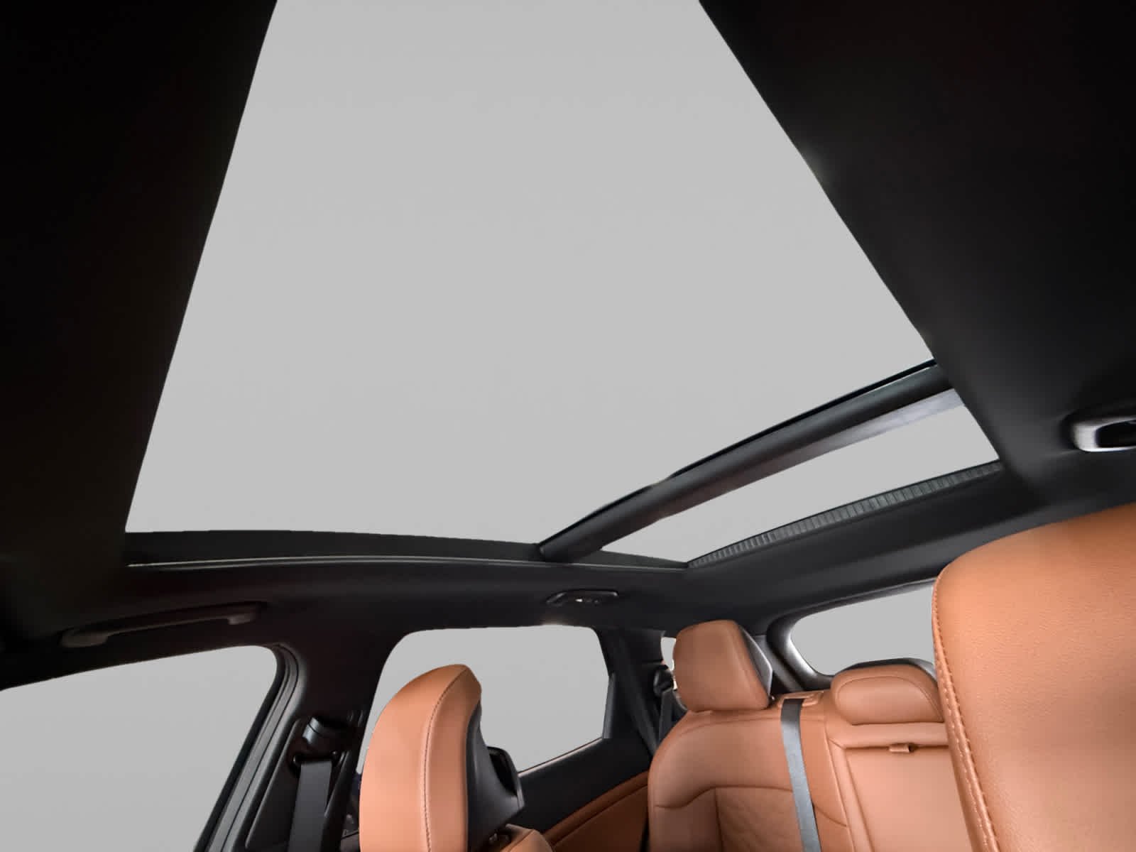 New 2026 Fusion Black Kia X-Line image 12