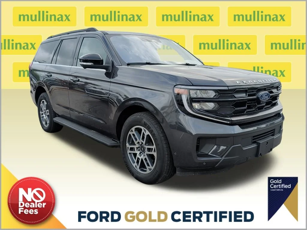 2025 Ford Expedition's photo