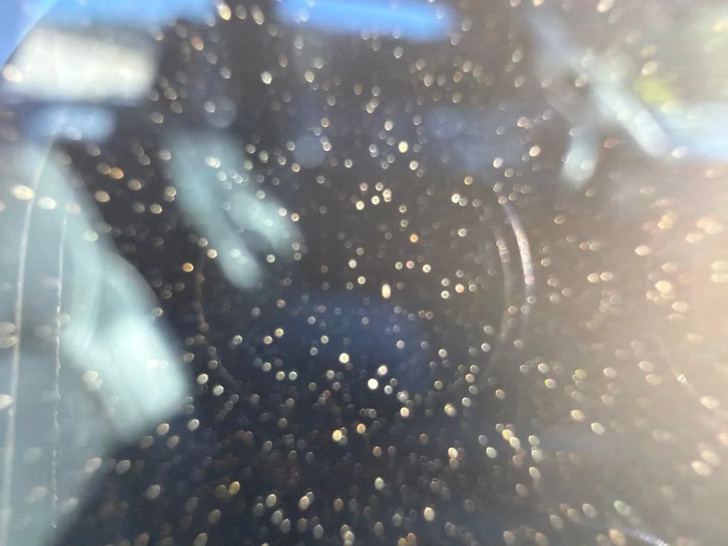 Used 2019 Diamond Black Crystal Pearlcoat Ram Limited image 2