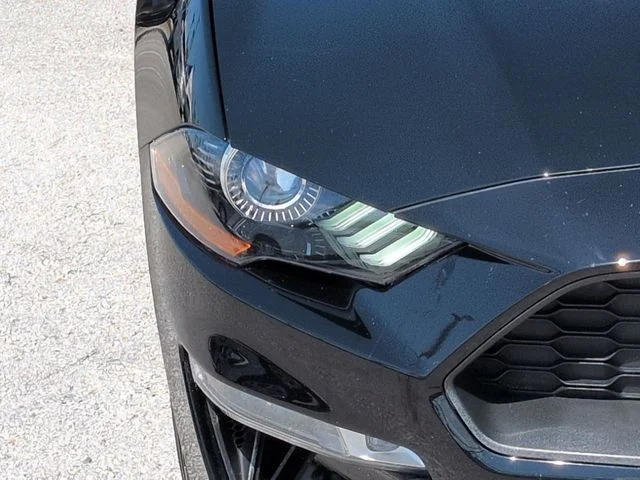 Used 2019 Black Ford EcoBoost Premium image 10