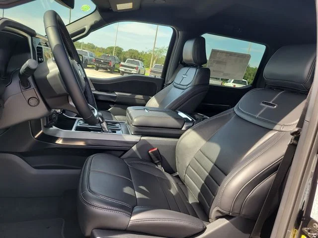 New 2026 Black Metallic Ford Platinum image 19