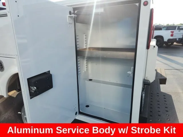 Used 2024 Summit White Chevrolet WT image 12