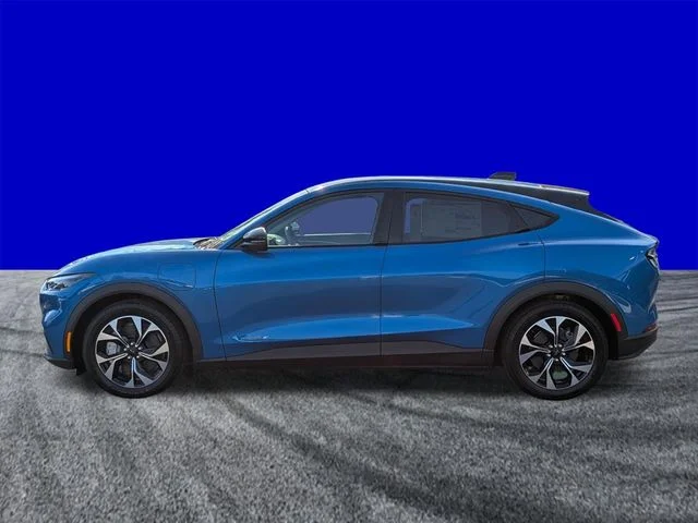 New 2026 Velocity Blue Metallic Ford Select image 7