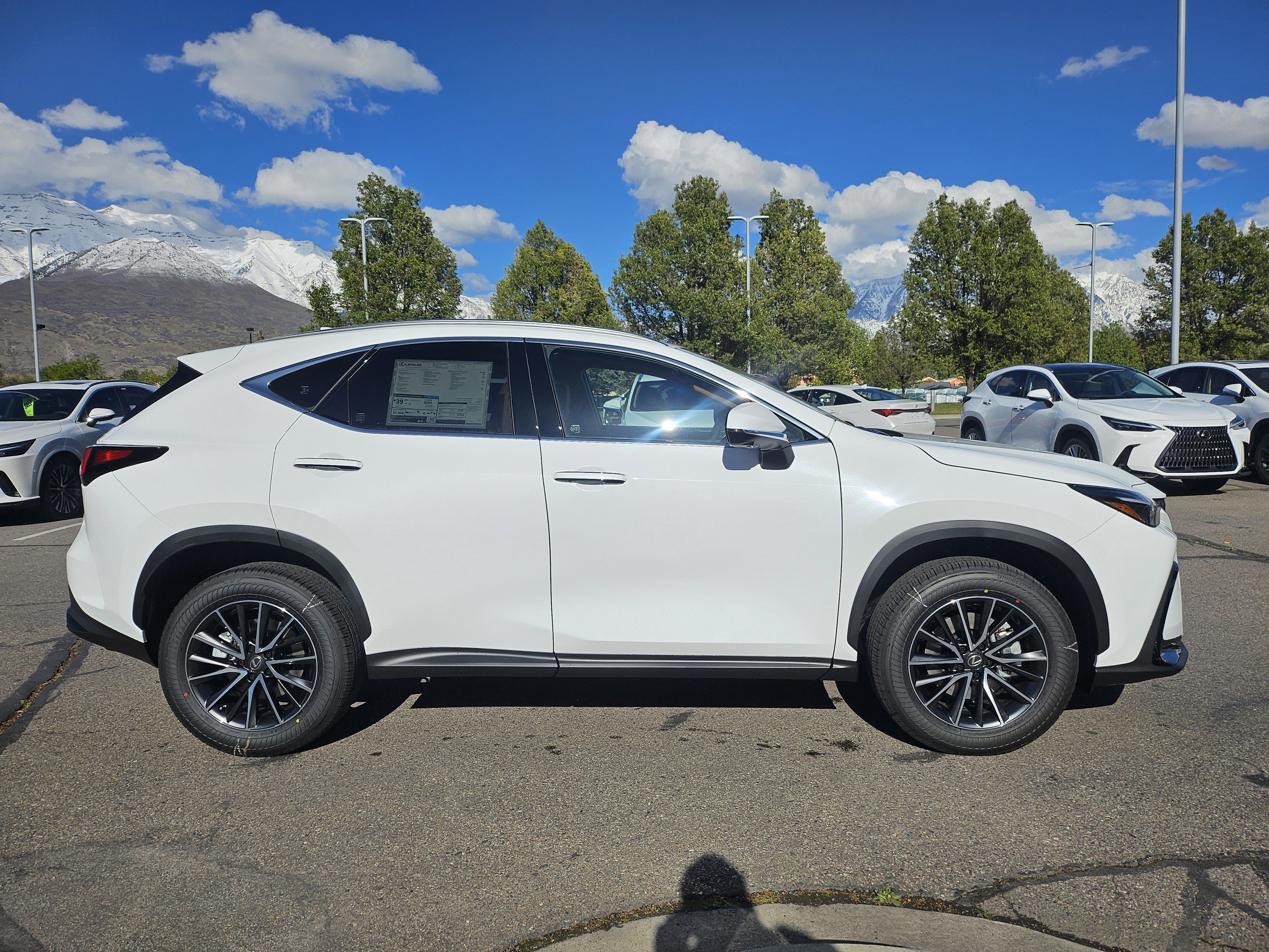 New 2026 Ultra White Lexus PREMIUM image 4