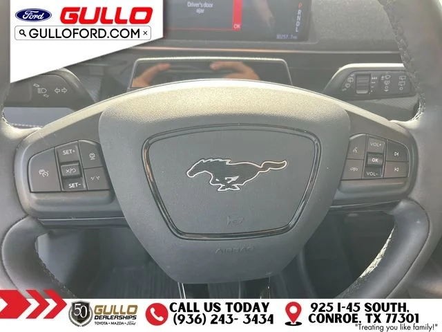 Used 2024 Shadow Black Ford Premium image 23