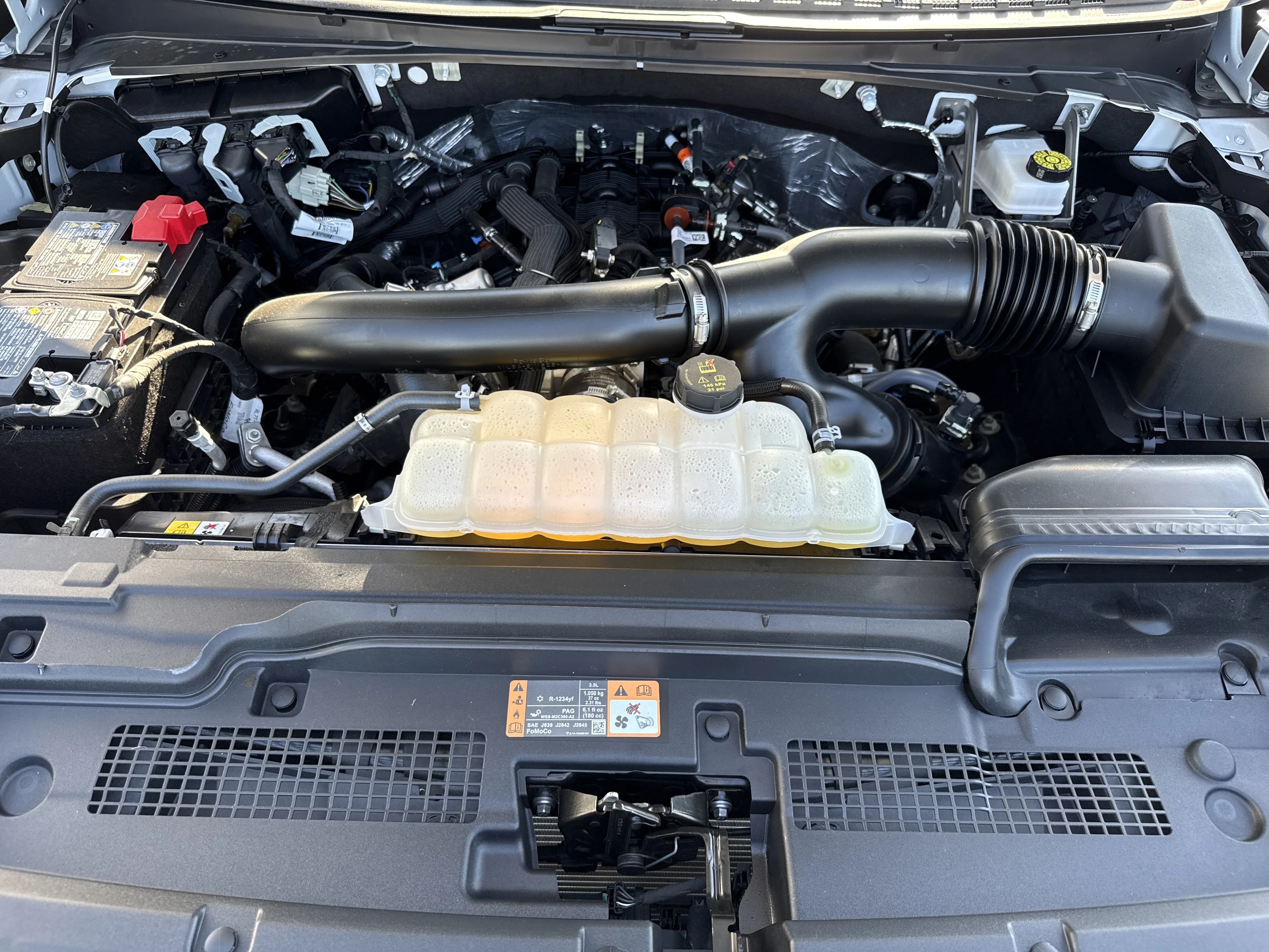 Used 2025 Oxford White Ford Active image 22