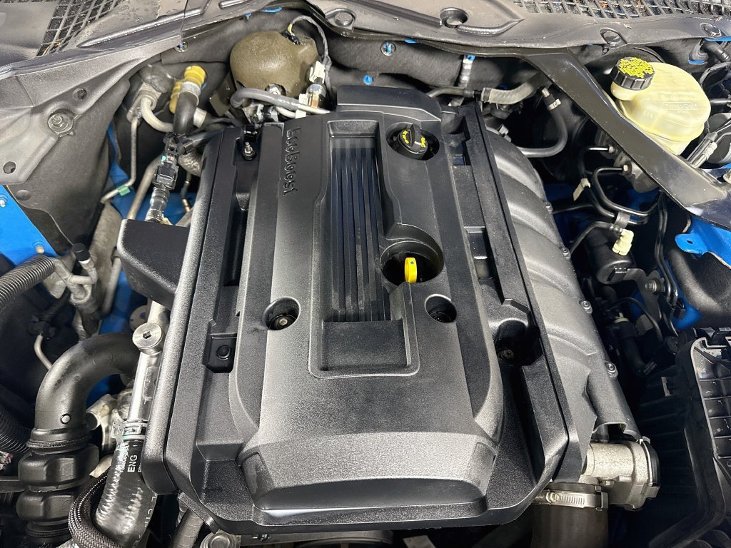 Used 2017 Grabber Blue Ford EcoBoost image 33