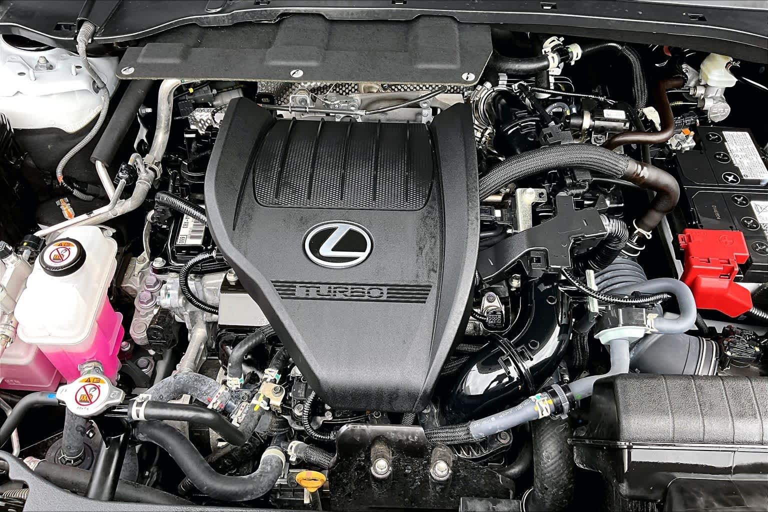 Used 2025 Wind Chill Pearl Lexus Premium image 33