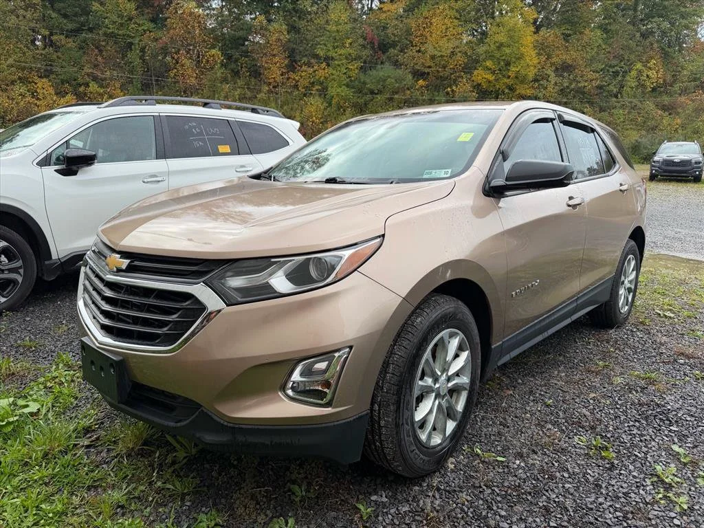 Used 2019 Beige Chevrolet LS image 2
