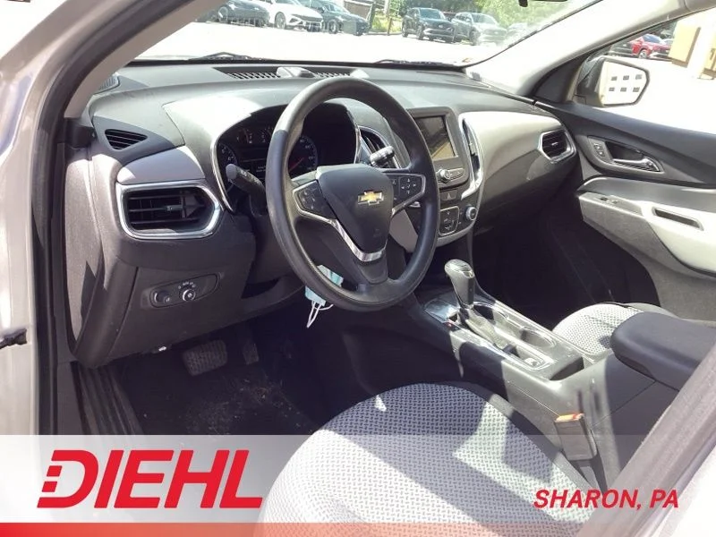 Used 2019 Silver Chevrolet LS image 10