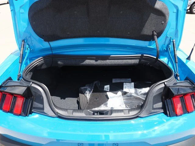 2025 Ford Mustang EcoBoost Premium Convertible - Photo 15