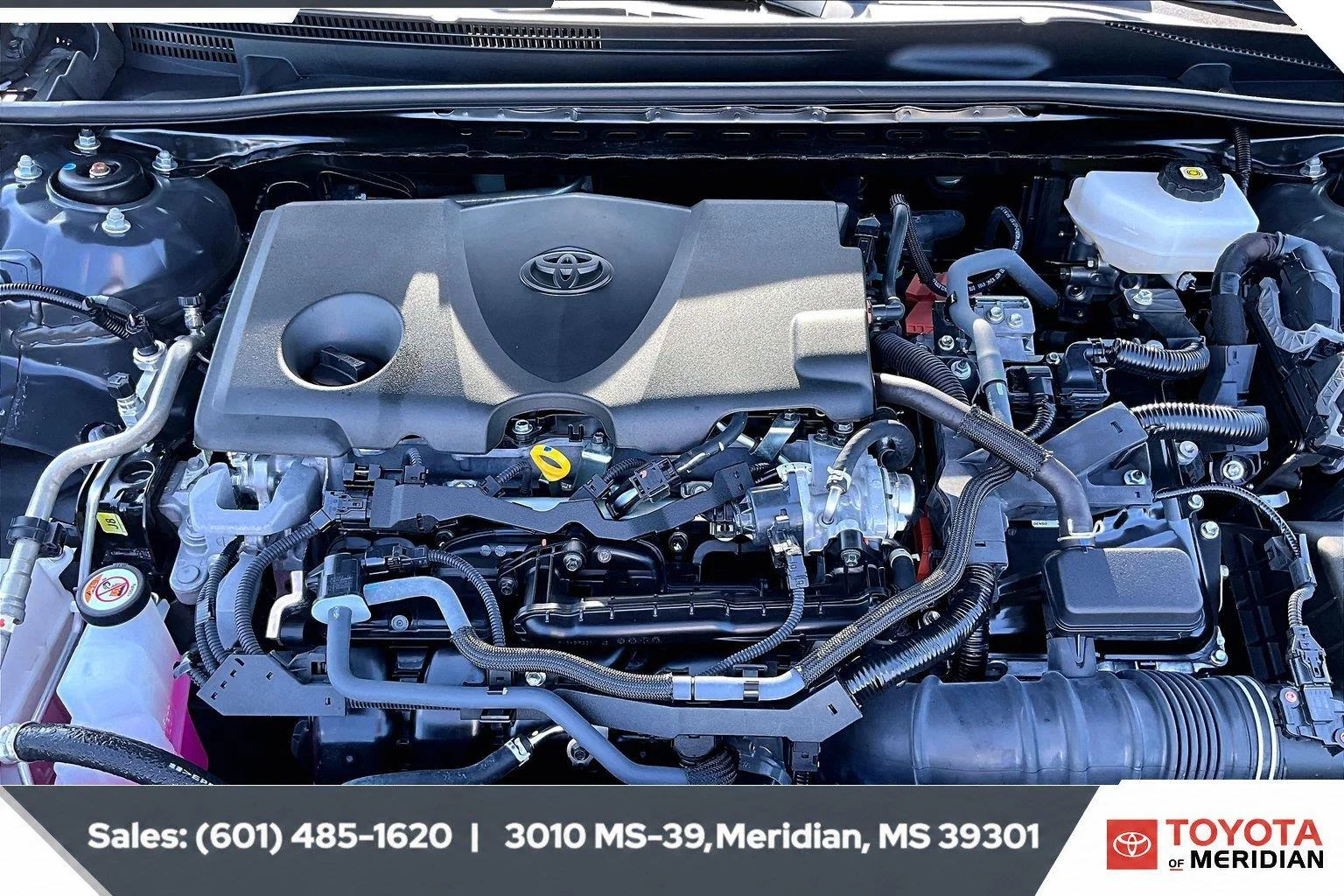 Used 2025 Underground Toyota SE (Natl) image 8