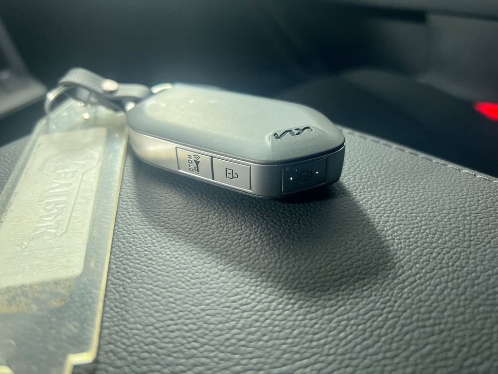 New 2026 Panthera Metal Kia LX image 32