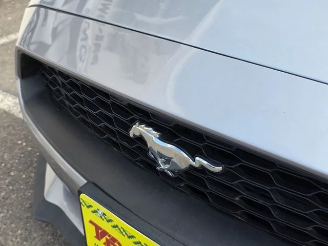 2023 Ford Mustang EcoBoost - Photo 10