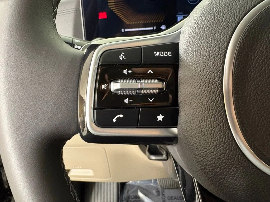 New 2026 Panthera Metal Kia EX image 22