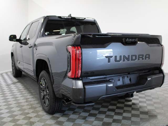New 2026 Magnetic Gray Metallic Toyota  Platinum image 10