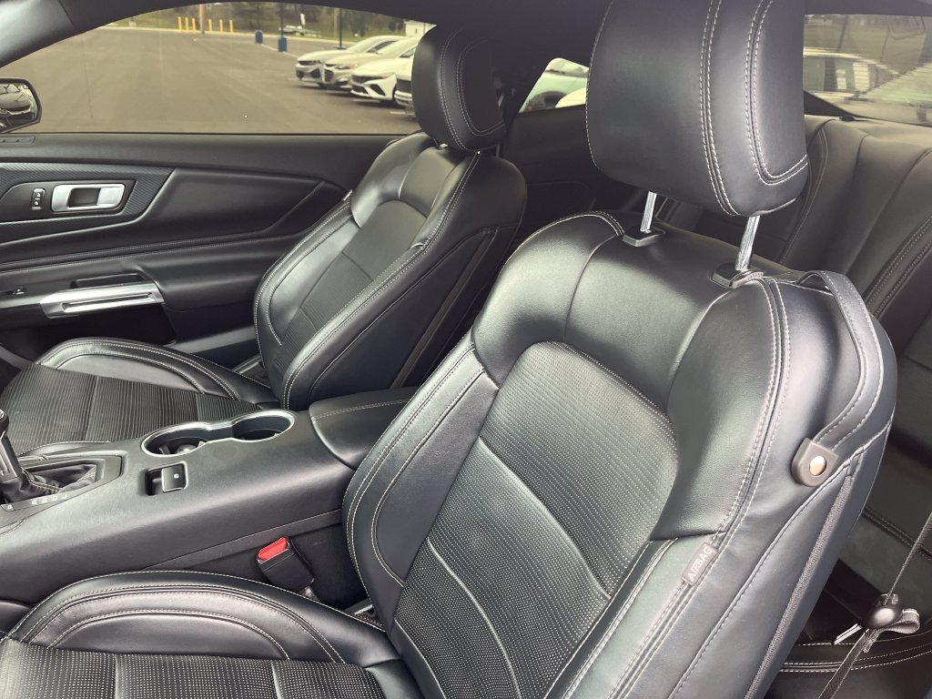 Used 2024 Red Ford EcoBoost Premium image 14