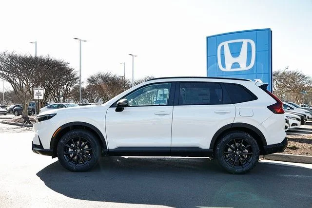New 2026 Platinum White Pearl Honda Sport-L image 6