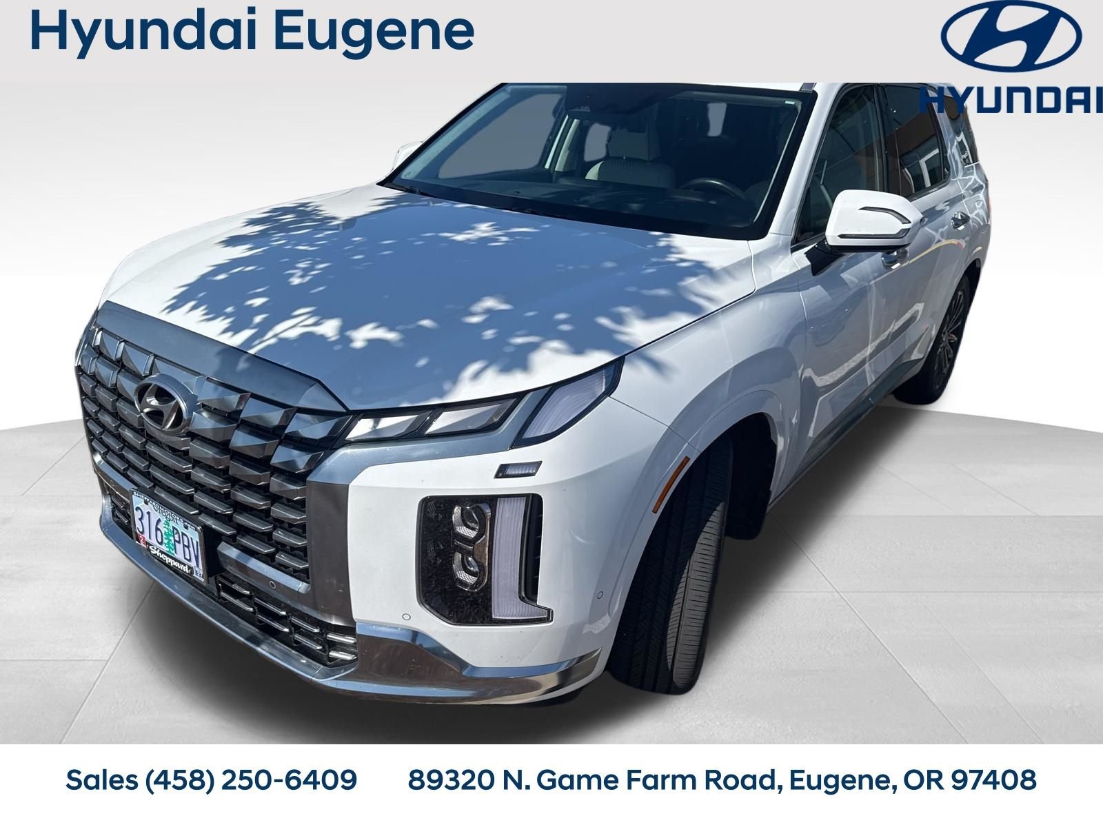 2023 Hyundai Palisade Calligraphy AWD's photo