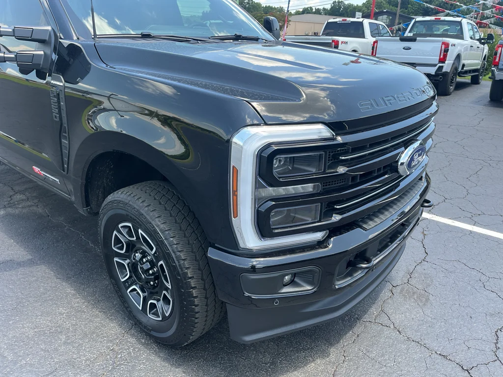 New 2026 Agate Black Metallic Ford Platinum image 11