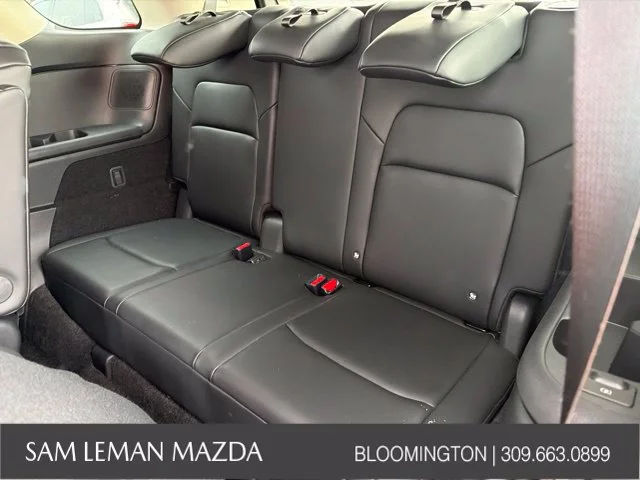 Used 2025 Black Nissan Platinum image 17
