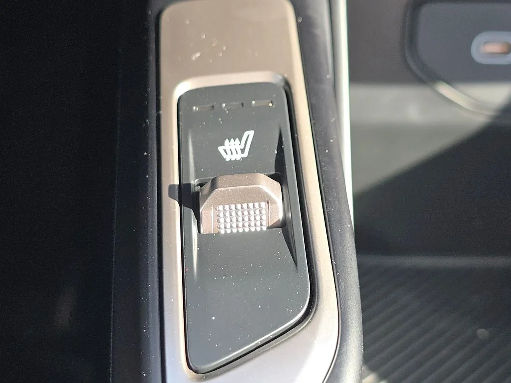 New 2026 Panthera Metal Kia S image 4