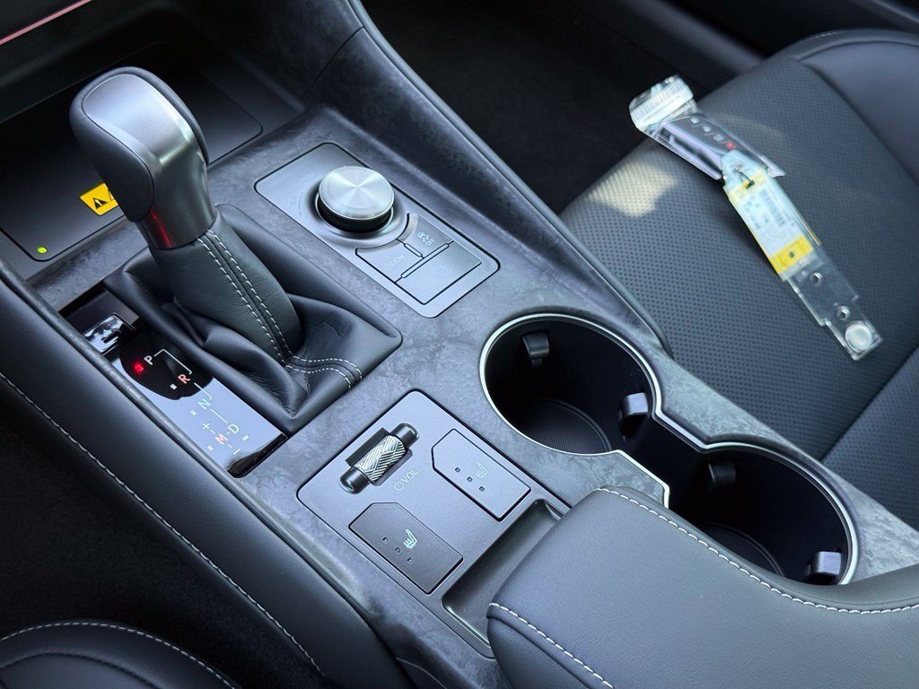 New 2026 Cloudburst Gray Lexus F SPORT DESIGN image 30