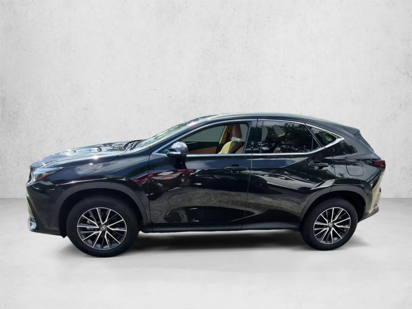 2025 Lexus NX 250 - Photo 9