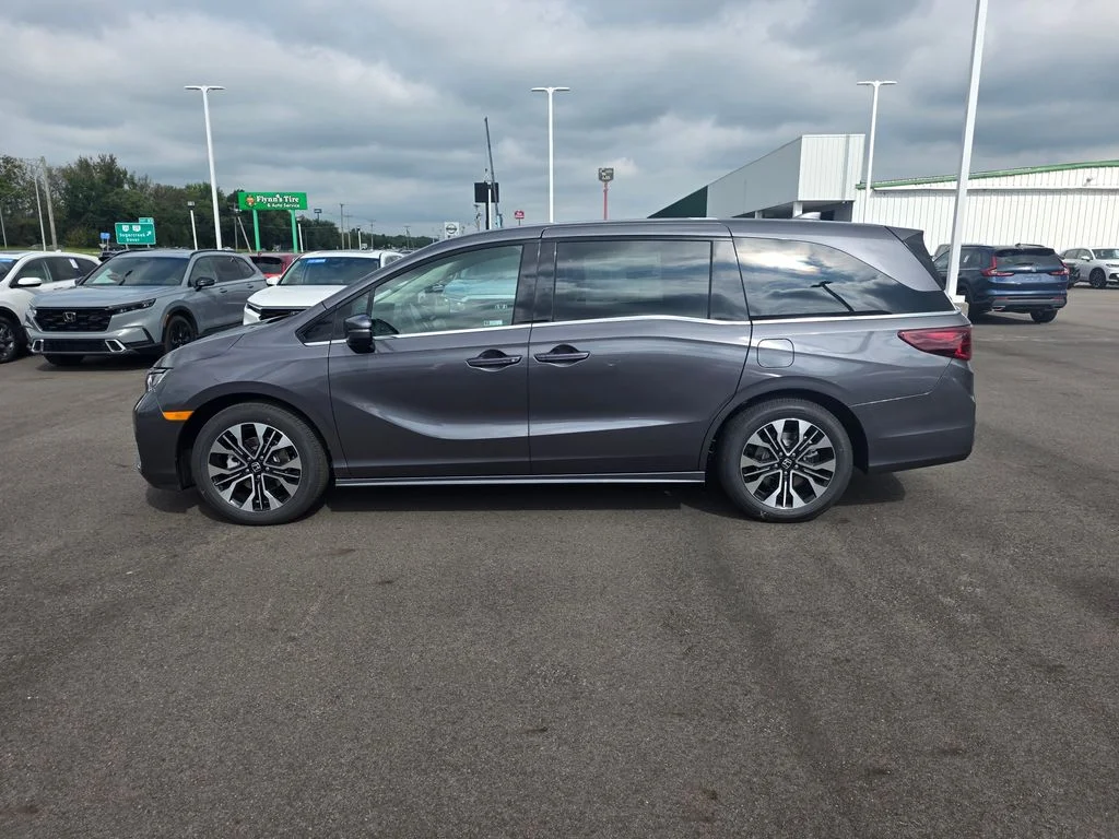 New 2027 Modern Steel Metallic Honda Elite image 6