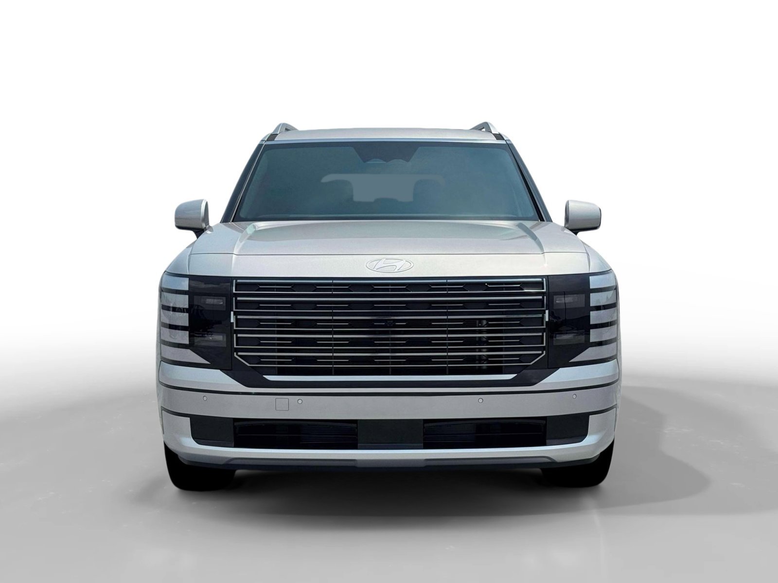 New 2026 Typhoon Silver Metallic Hyundai Calligraphy image 12