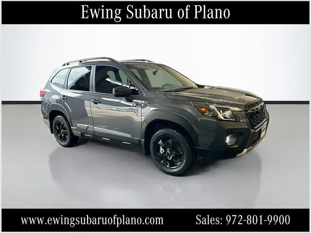 Used 2024 Gray Subaru Wilderness image 1