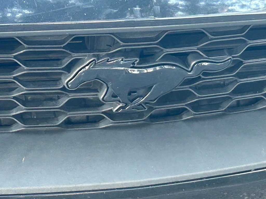 Certified Used 2019 Shadow Black Ford EcoBoost Premium image 19