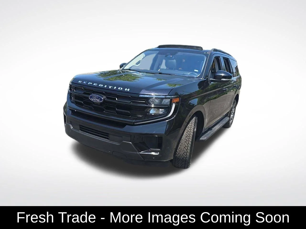 2025 Ford Expedition Active 4x4's photo