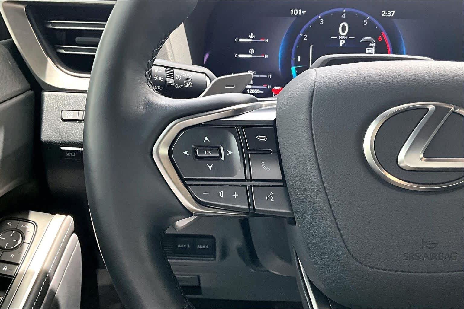 Used 2025 Incognito Lexus Overtrail image 24