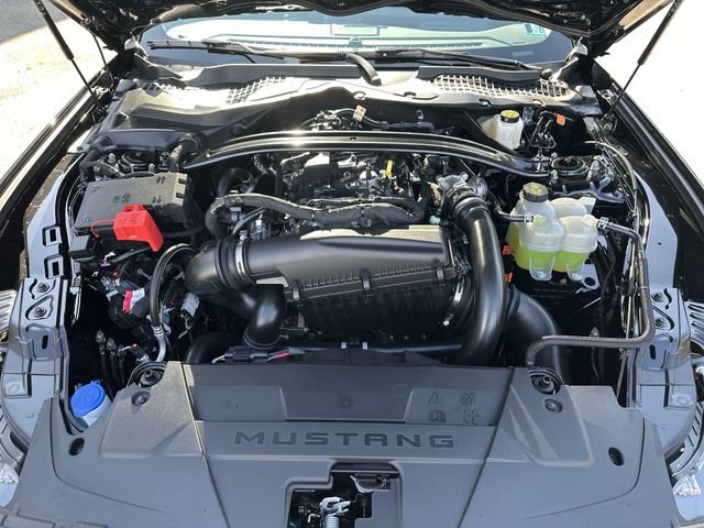 New 2026 Shadow Black Ford EcoBoost® Premium Fastback image 19