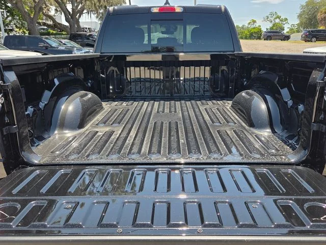 New 2026 Diamond Black Crystal Pearl-Coat Exterior Paint RAM Express image 8